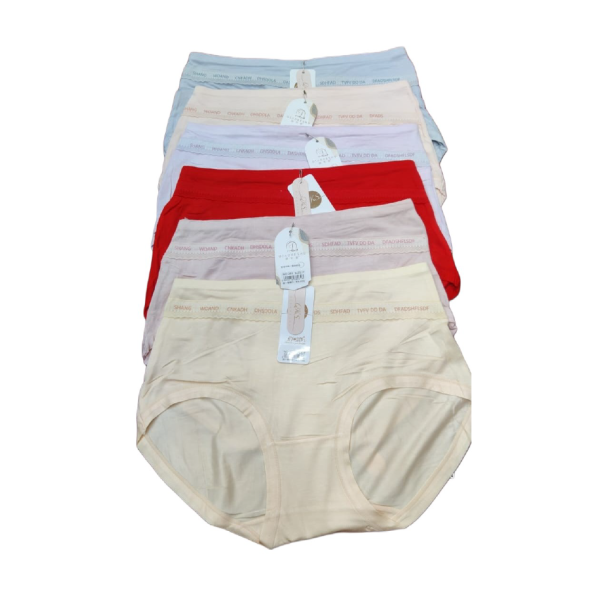 Women’s Everyday Comfort Panty (Free Size)