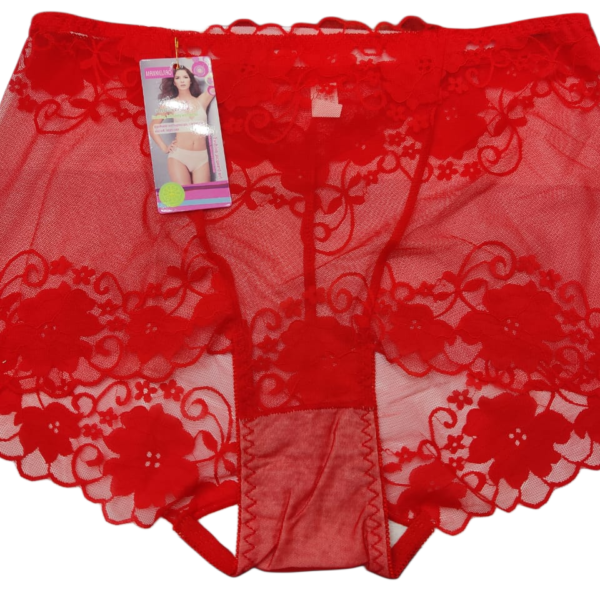 Soft Breathable Ladies Panty – Free Size