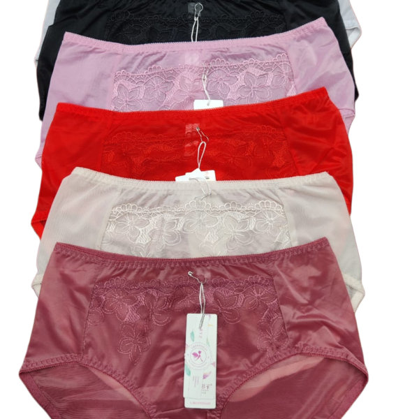 Comfortable Soft Fit Panty for Women – Free Size