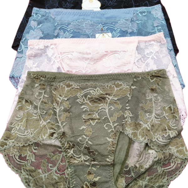 Everyday Comfort Ladies Panty – Free Size