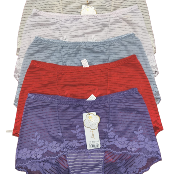 Smooth Feel Ladies Panty – Free Size Fit