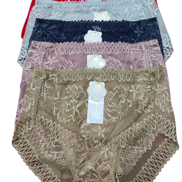 Soft Stretch Breathable Panty – Free Size Fit